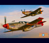 2011 WORLD WAR TWO CALENDAR