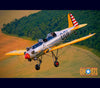 2011 WORLD WAR TWO CALENDAR