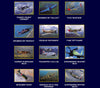 2006 WORLD WAR TWO CALENDAR